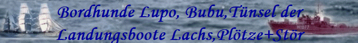 Bordhunde Lupo, Bubu,Tnsel der
Landungsboote Lachs,Pltze+Str